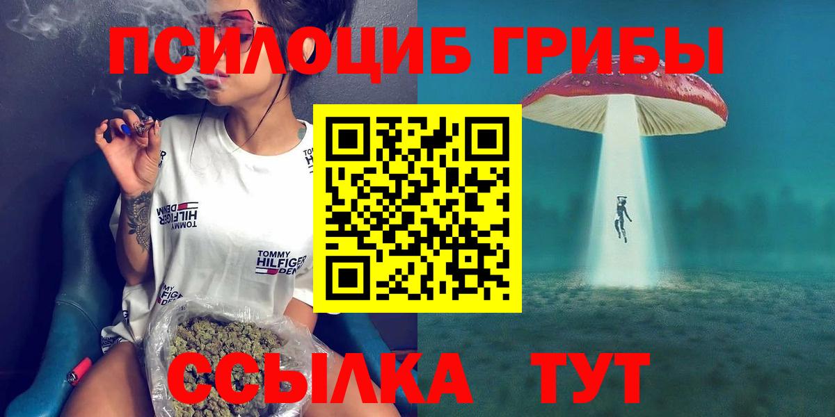 Сибай  Псилоцибиновые грибы мухоморы  как найти   Вход с VPN 